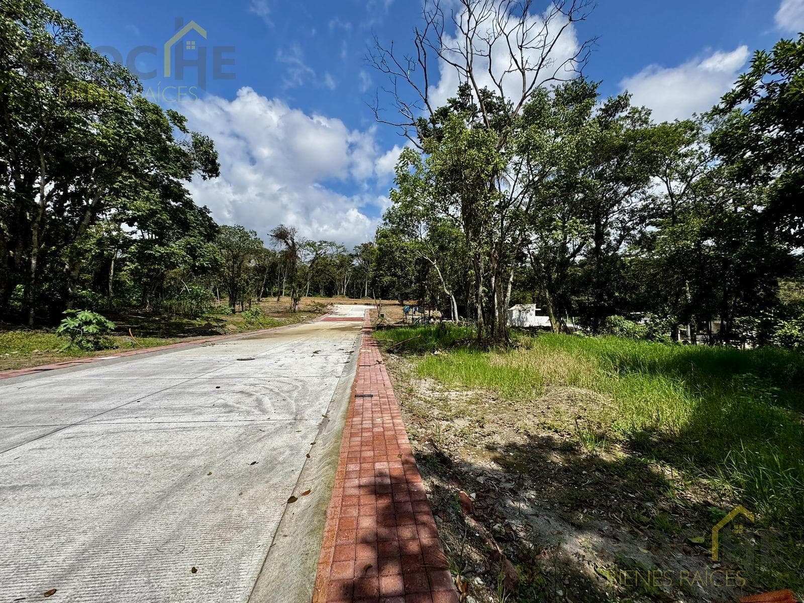 Land for sale in Coatepec, Veracruz, in the Santa Cruz subdivision