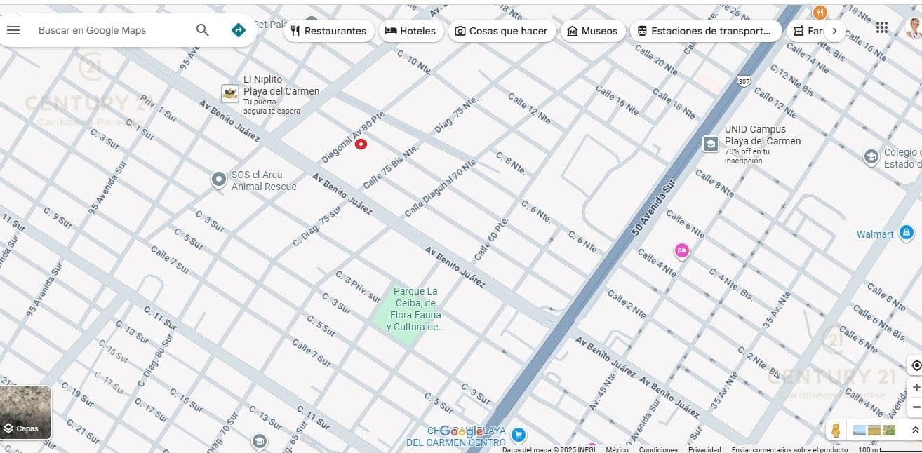 Lot for Sale in Ejido, Half a Block from Juarez Avenue, Listing #P1335