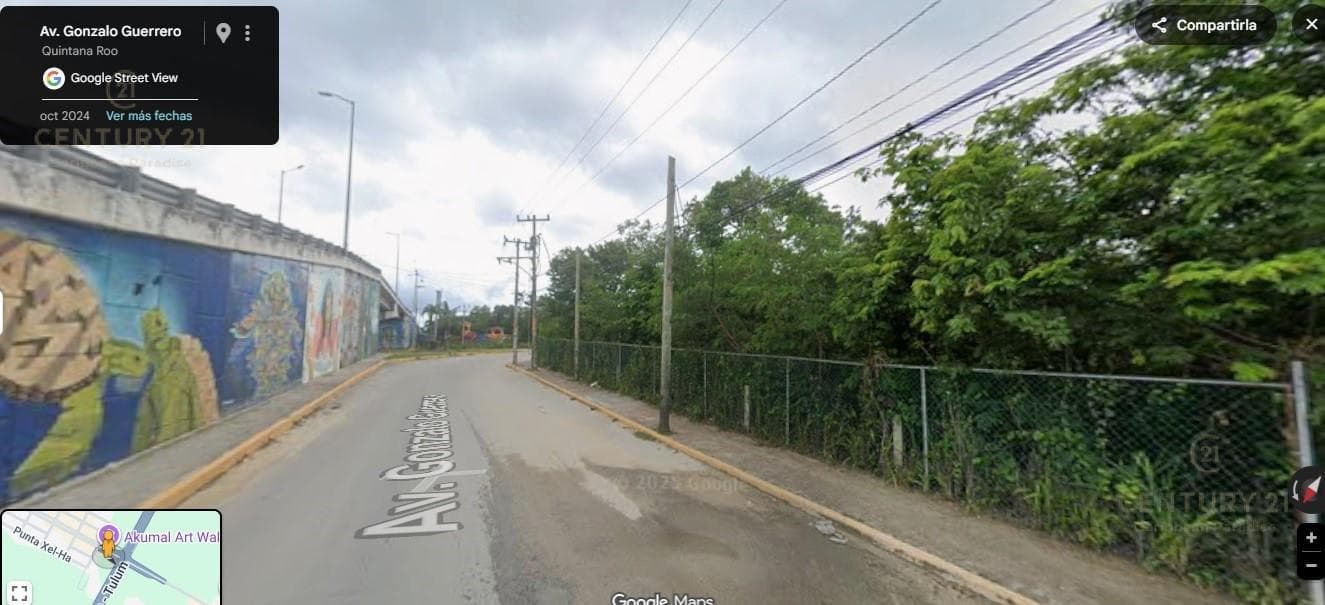 Great Opportunity! Land for Sale Along the Highway in Akumal P1325