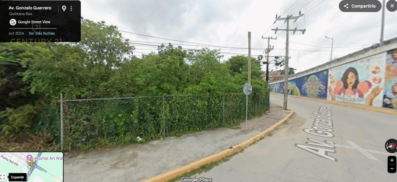 Great Opportunity! Land for Sale Along the Highway in Akumal P1325