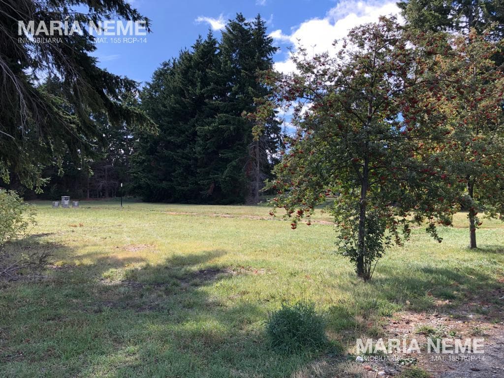 ONE-OF-A-KIND OPPORTUNITY - ON SALE: Lots with lake views and lakeshore access in the eastern part of Bariloche