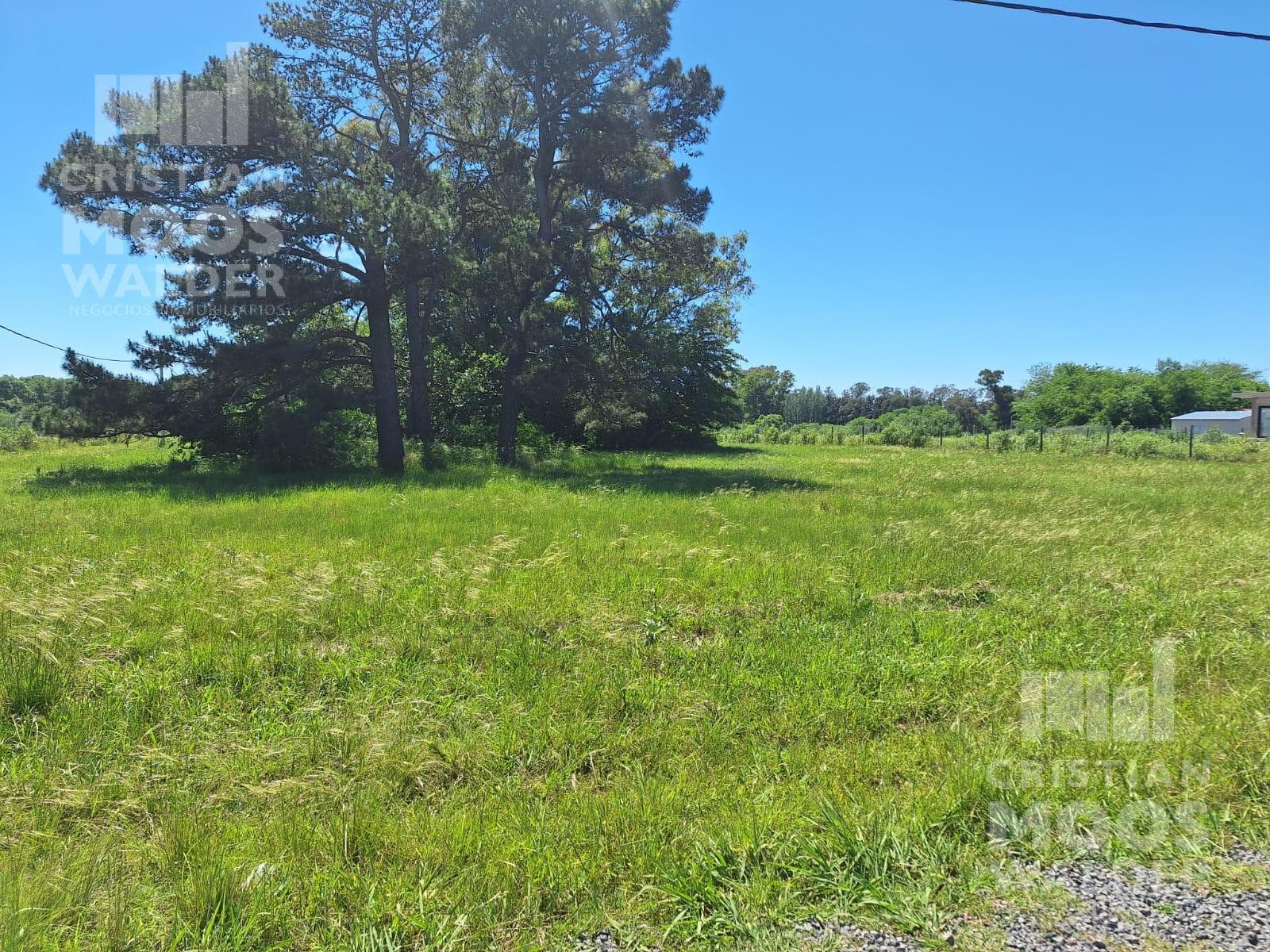 Land for Sale Loma Verde