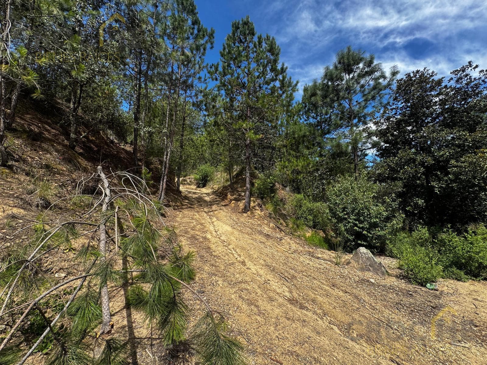 Land for sale in Perote in the Antigua Normal area