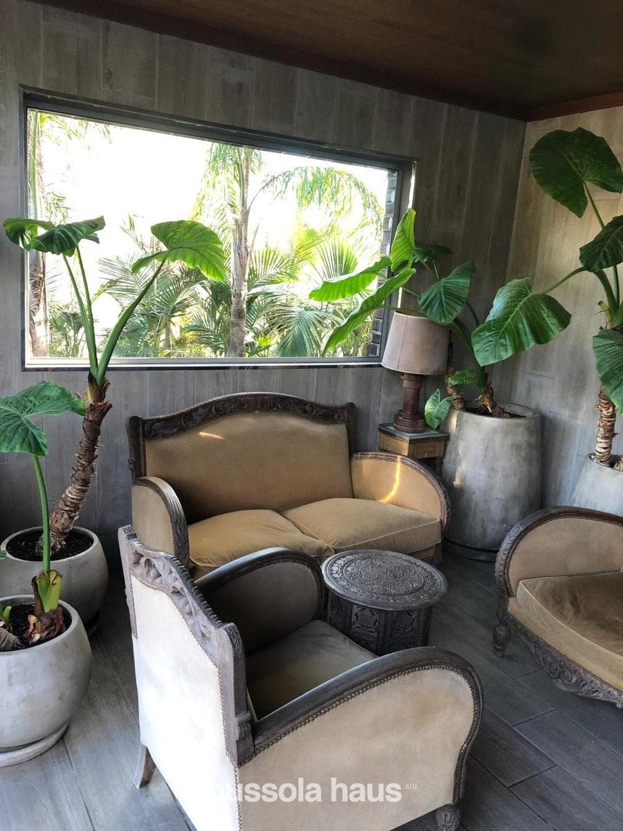 Araucarias House