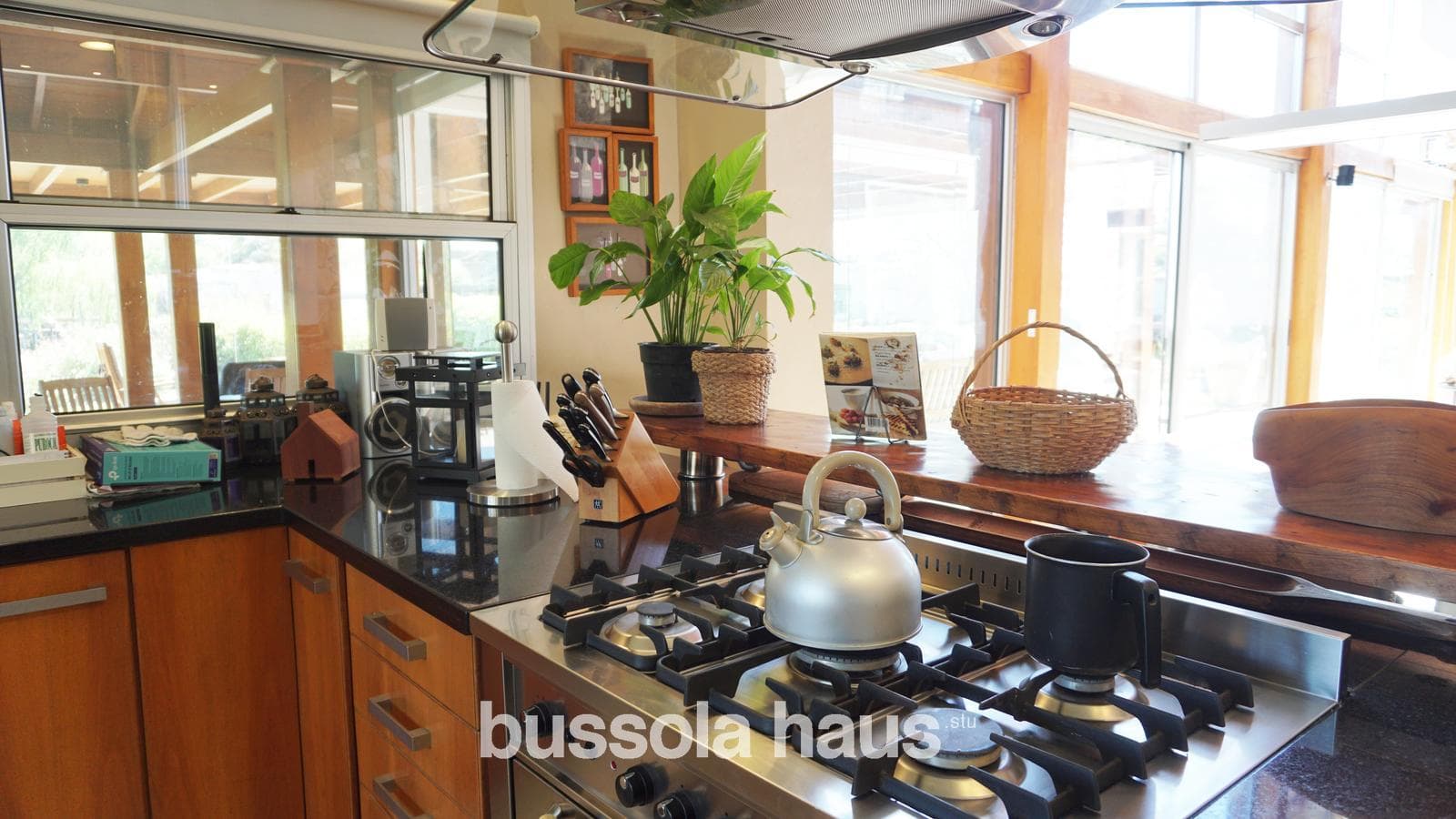 6-Room House in Isla del Este, Tigre—Furnished, Private Dock, Financing Available