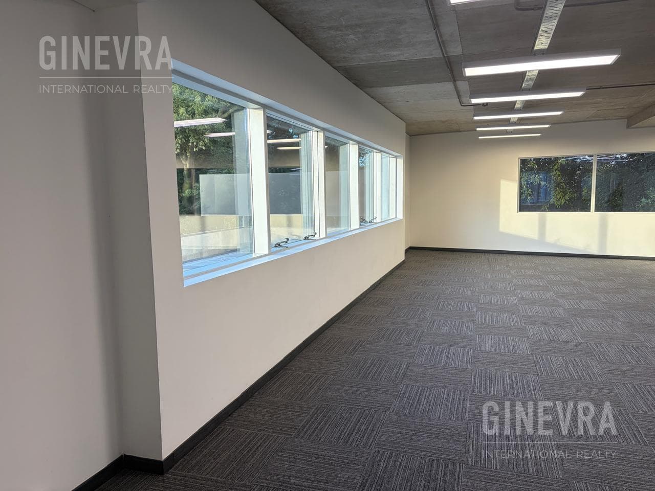 Office for Rent in Puerto Madero - 220 m2 - Malecón Dique 4 - 2 parking spaces