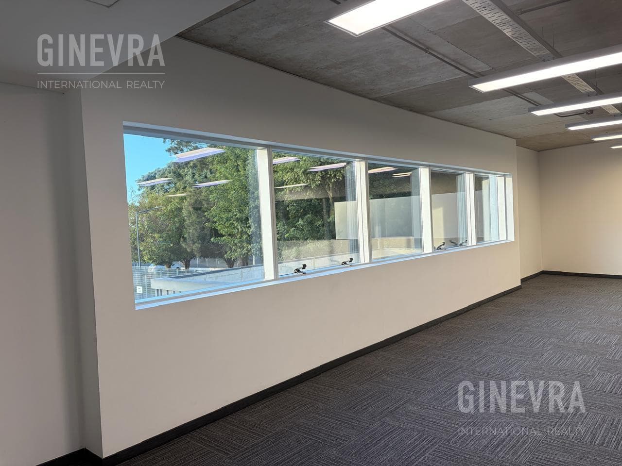 Office for Rent in Puerto Madero - 220 m2 - Malecón Dique 4 - 2 parking spaces