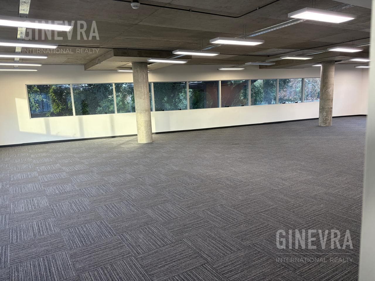 Office for Rent in Puerto Madero - 220 m2 - Malecón Dique 4 - 2 parking spaces