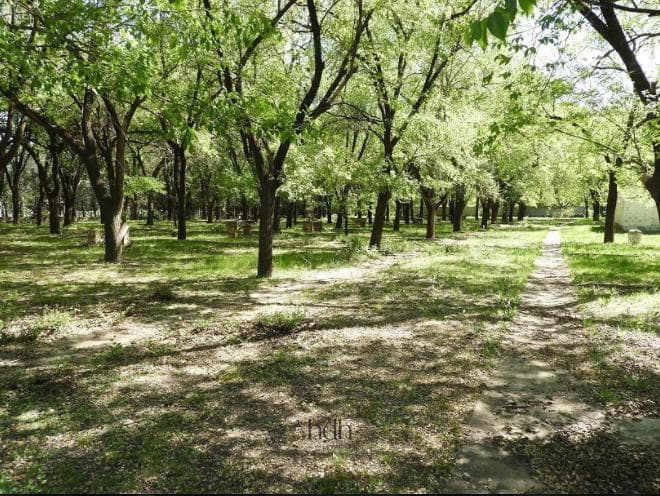 Land in Rio Ceballos