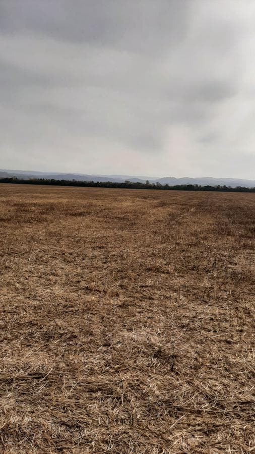 Farmland for Sale in Anisacate: 50 hectares near the highway