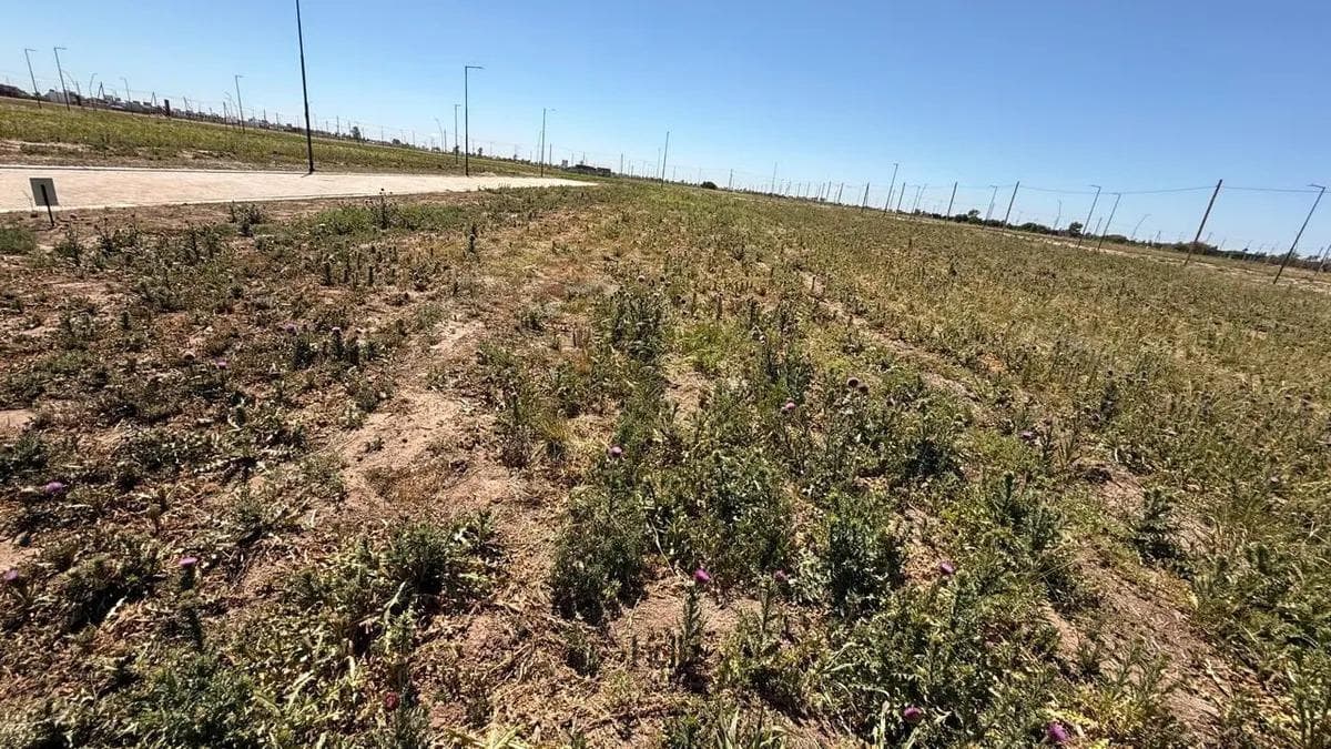 Lot for Sale in Abras de Manantiales, 250 m², Residential