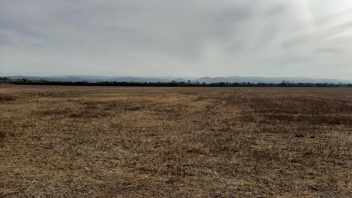 Farmland for Sale in Anisacate: 50 hectares near the highway