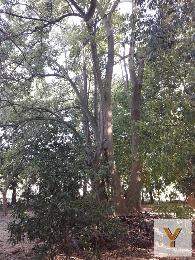 Land for sale - 20 x 56 meters - 1,123 square meters - El Rodeo, Abasto, La Plata
