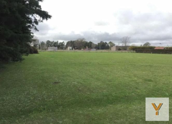 Block sale of 4 lots - 40x90 meters - 3,600 square meters total - Olavarria