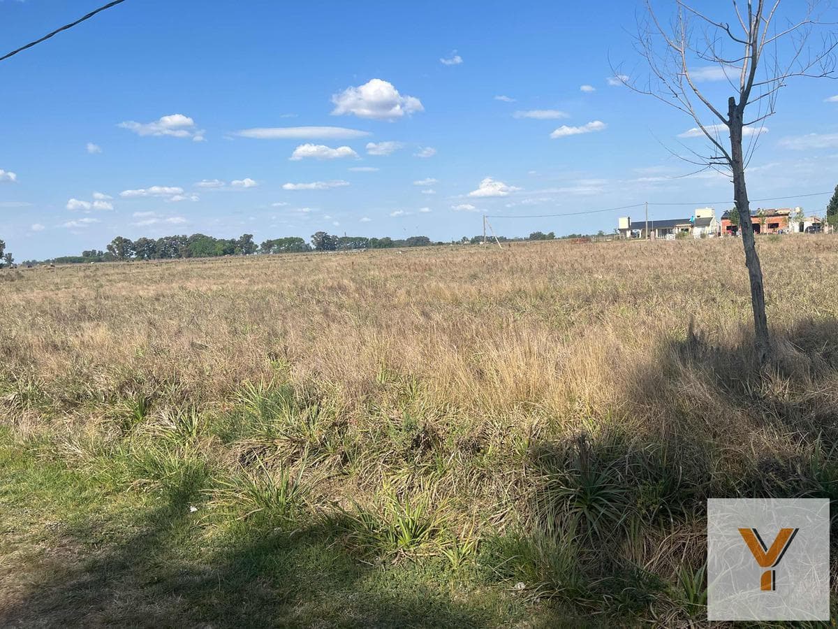 Land for Sale - 1,125 square meters - General Las Heras