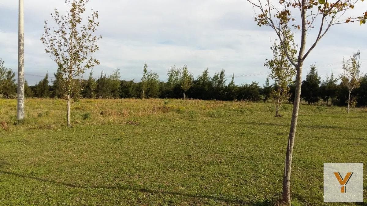Land for Sale - 44 x 51 meters - Total 2,275 square meters - Baradero