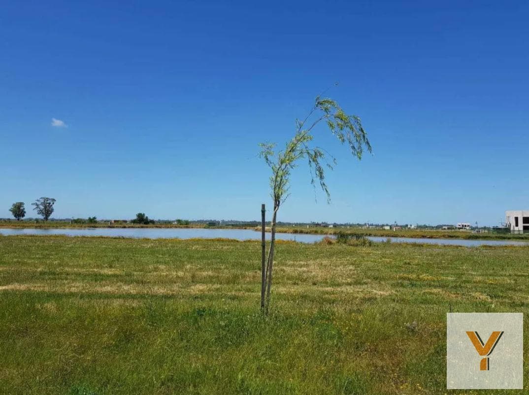 Land for Sale - 650 m² - Villalobos - Guillermo Hudson