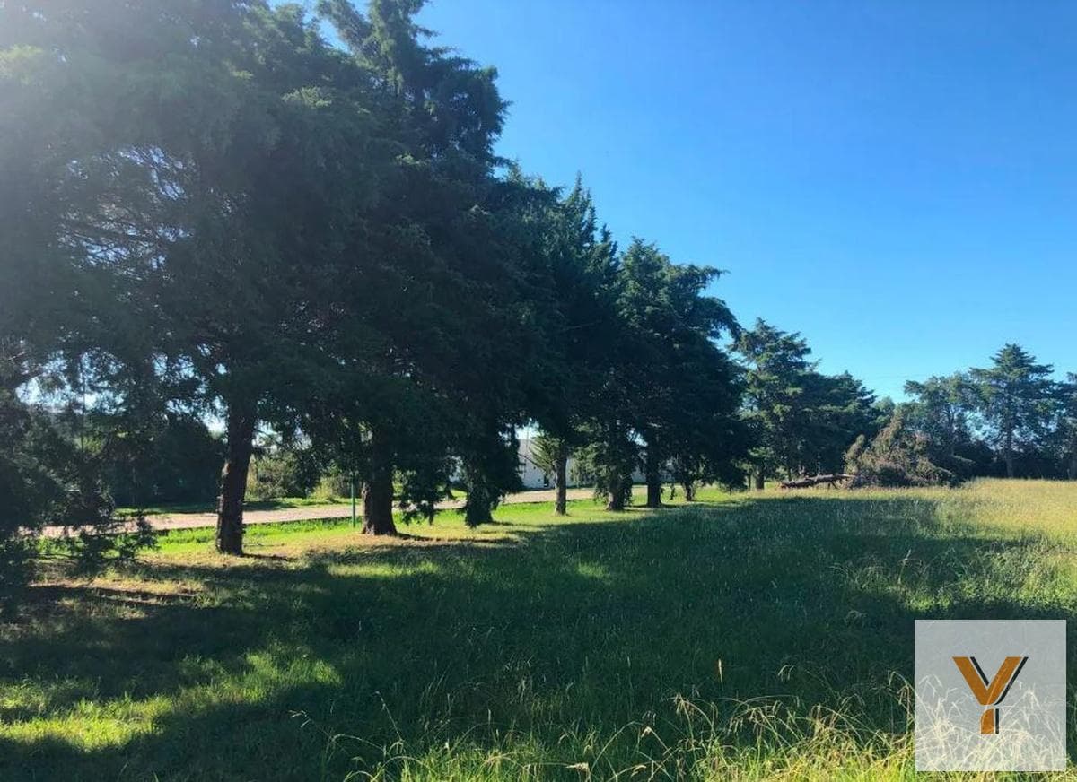 Land for sale - 10 x 40 meters - 400 square meters - Joaquín Gorina