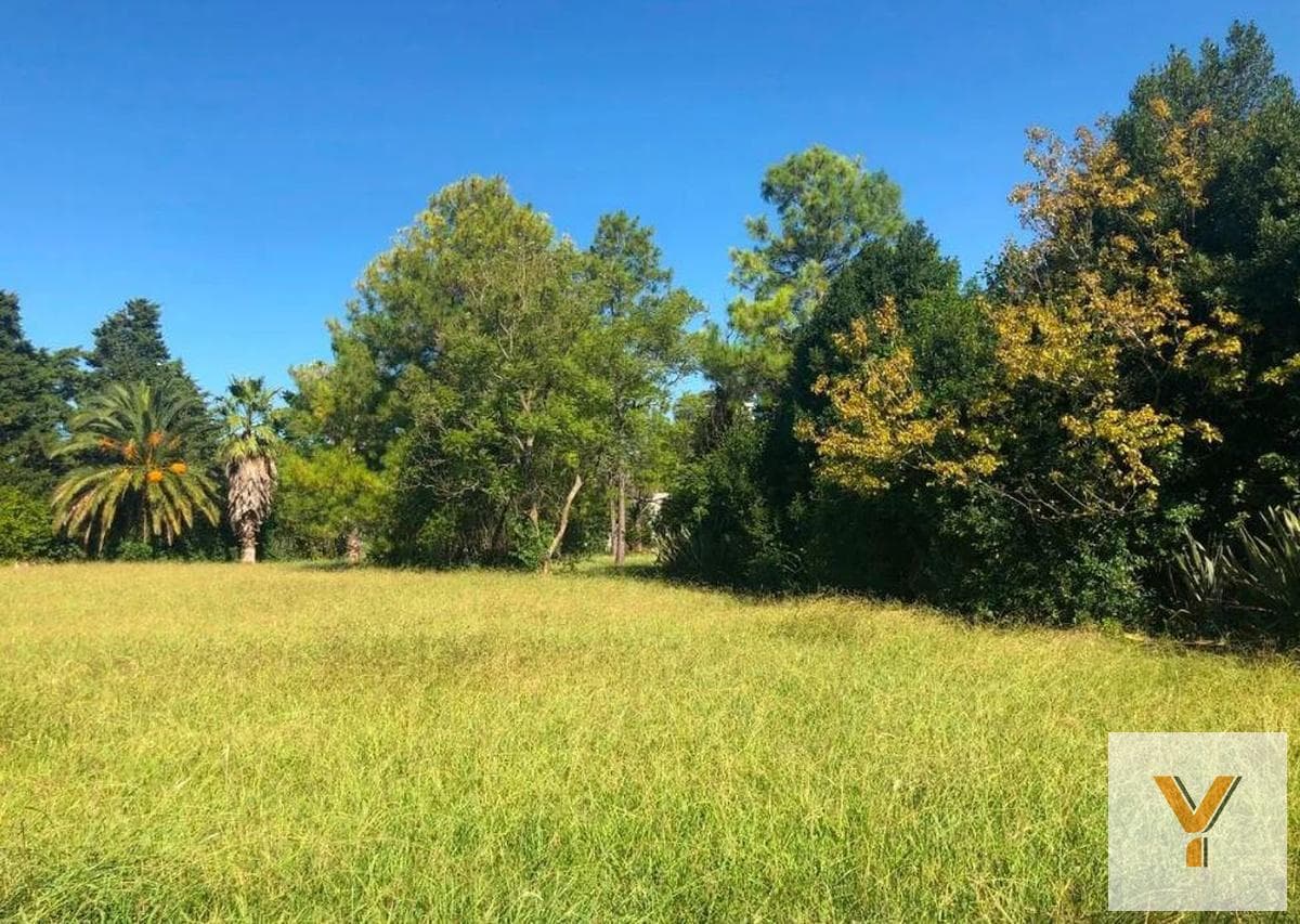 Land for sale - 10 x 40 meters - 400 square meters - Joaquín Gorina