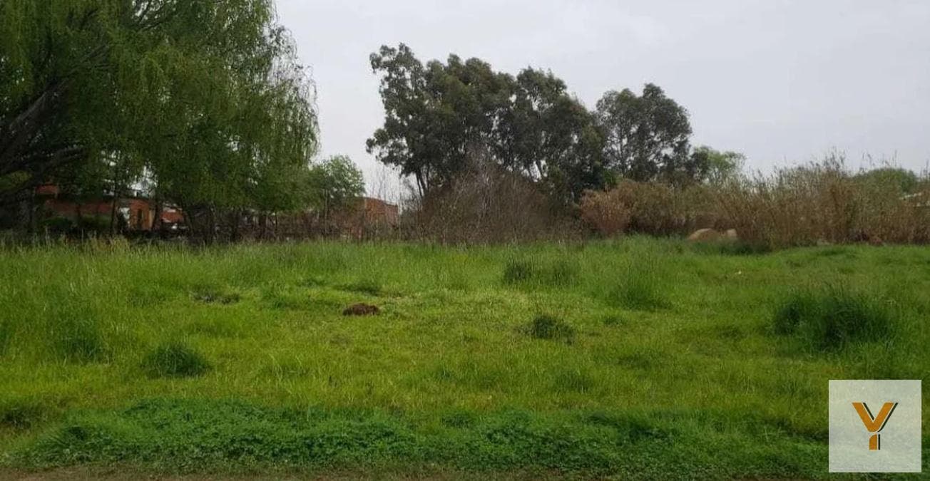 Land for Sale - 1,260 m² - Santa Teresita