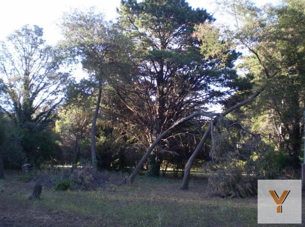Land for sale - 9,424 square meters - Villa Ventana