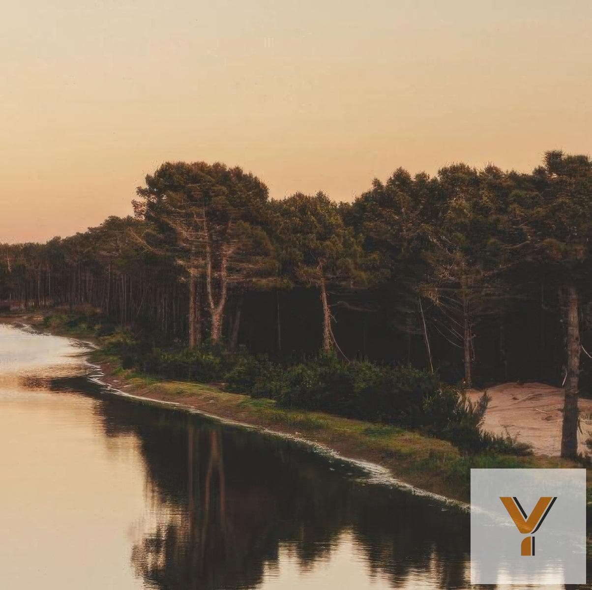 Land for Sale - 1,000 m² - Villa Robles, Pinamar