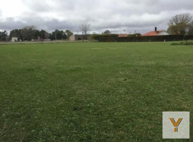 Block sale of 4 lots - 40x90 meters - 3,600 square meters total - Olavarria