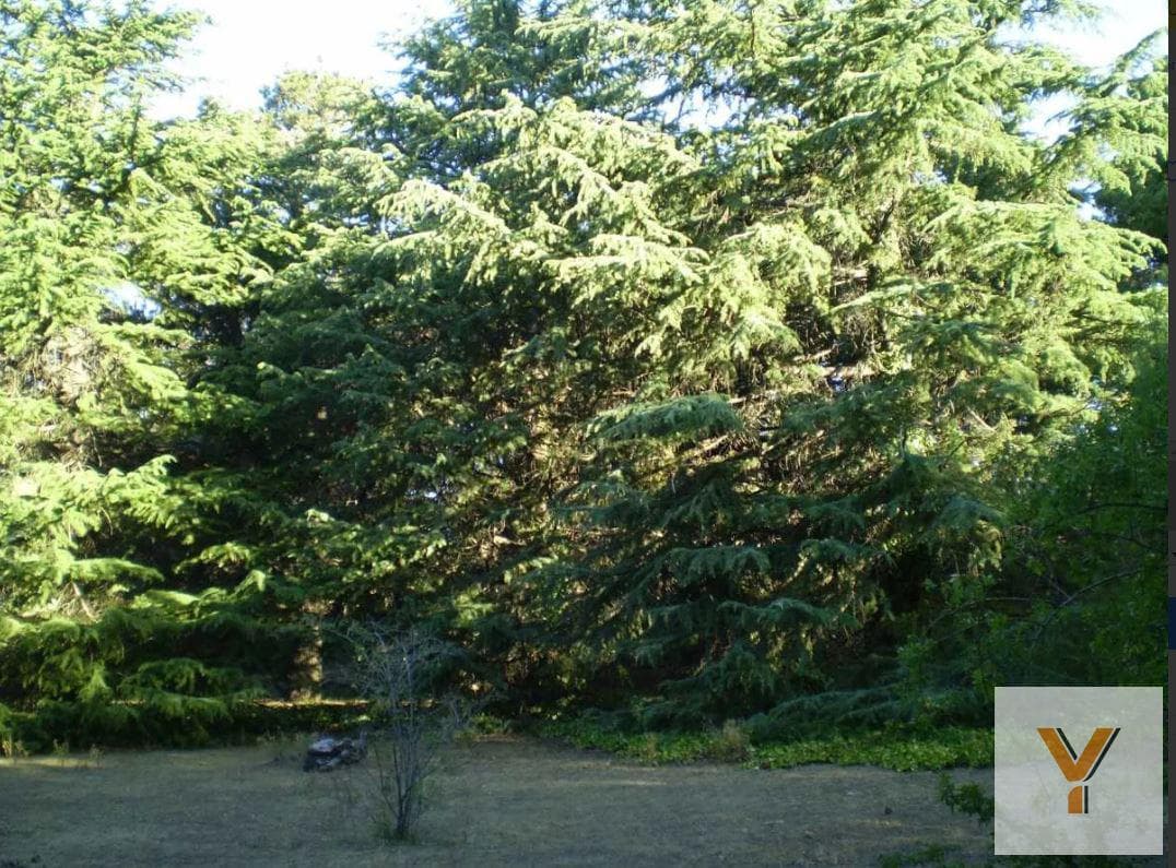 Land for sale - 9,424 square meters - Villa Ventana