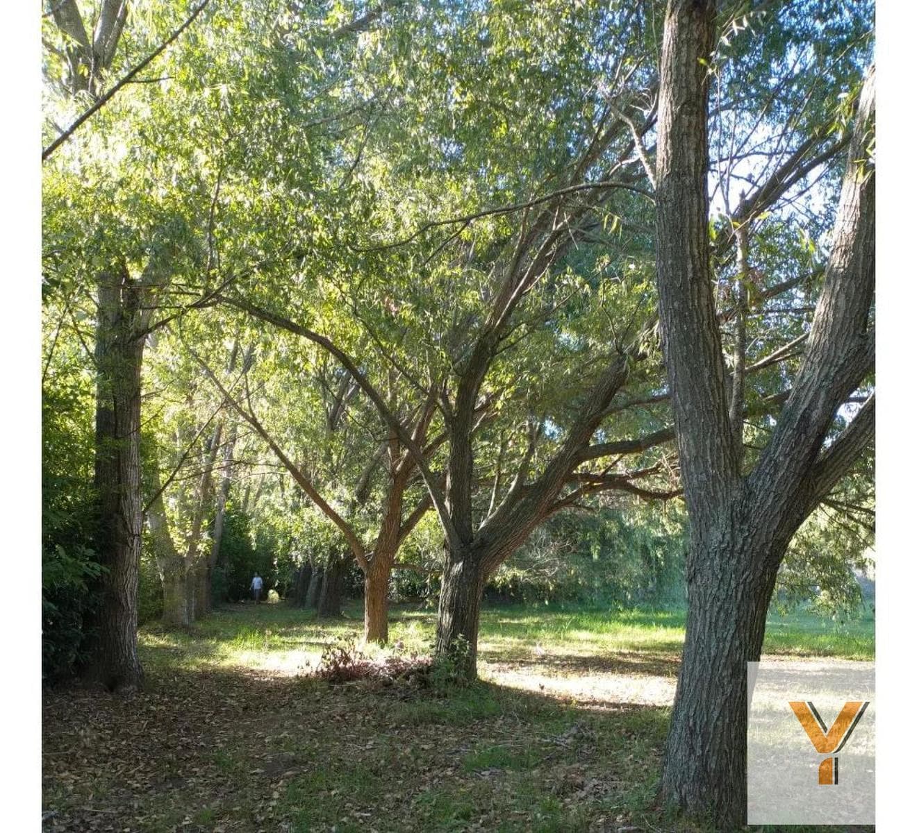 Land for Sale - 4,216 square meters - Cañuelas