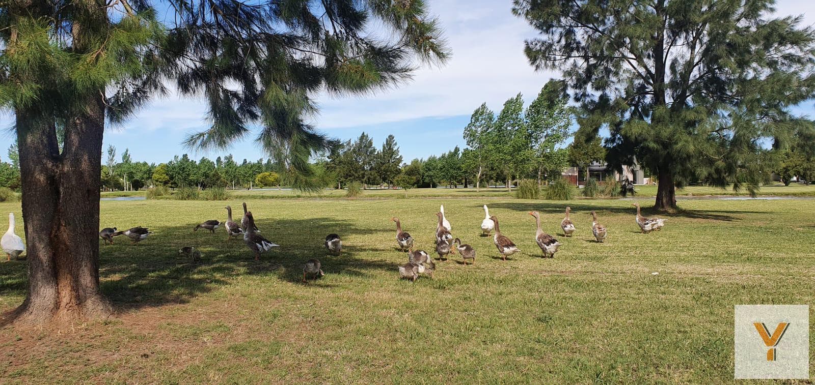 Land for Sale - 1,133 m² - Posadas de los Lagos, Brandsen