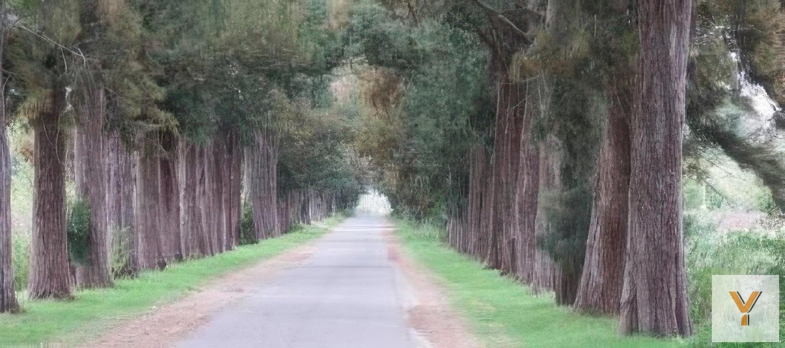 Land for Sale - 595 square meters - Abasto, La Plata