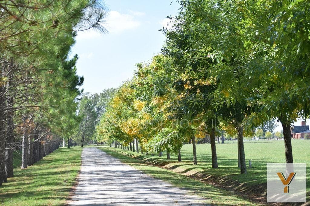 Land for Sale - 2,630 m² - Campos de Roca II, Coronel Brandsen