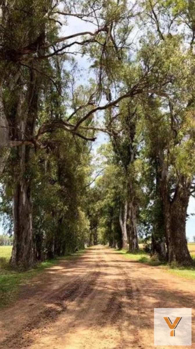 Land for Sale - 1,000 m² - Los Tres Pinos, General Rodríguez