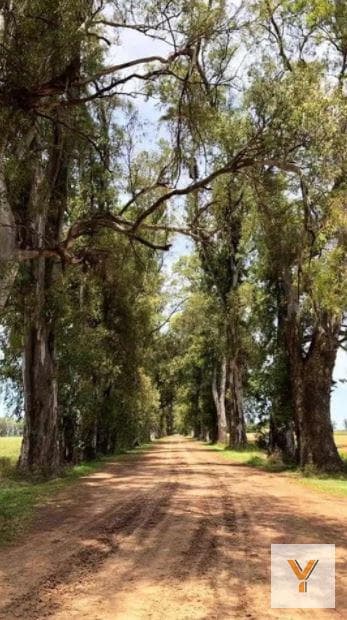Land for Sale - 1,000 m² - Los Tres Pinos, General Rodríguez