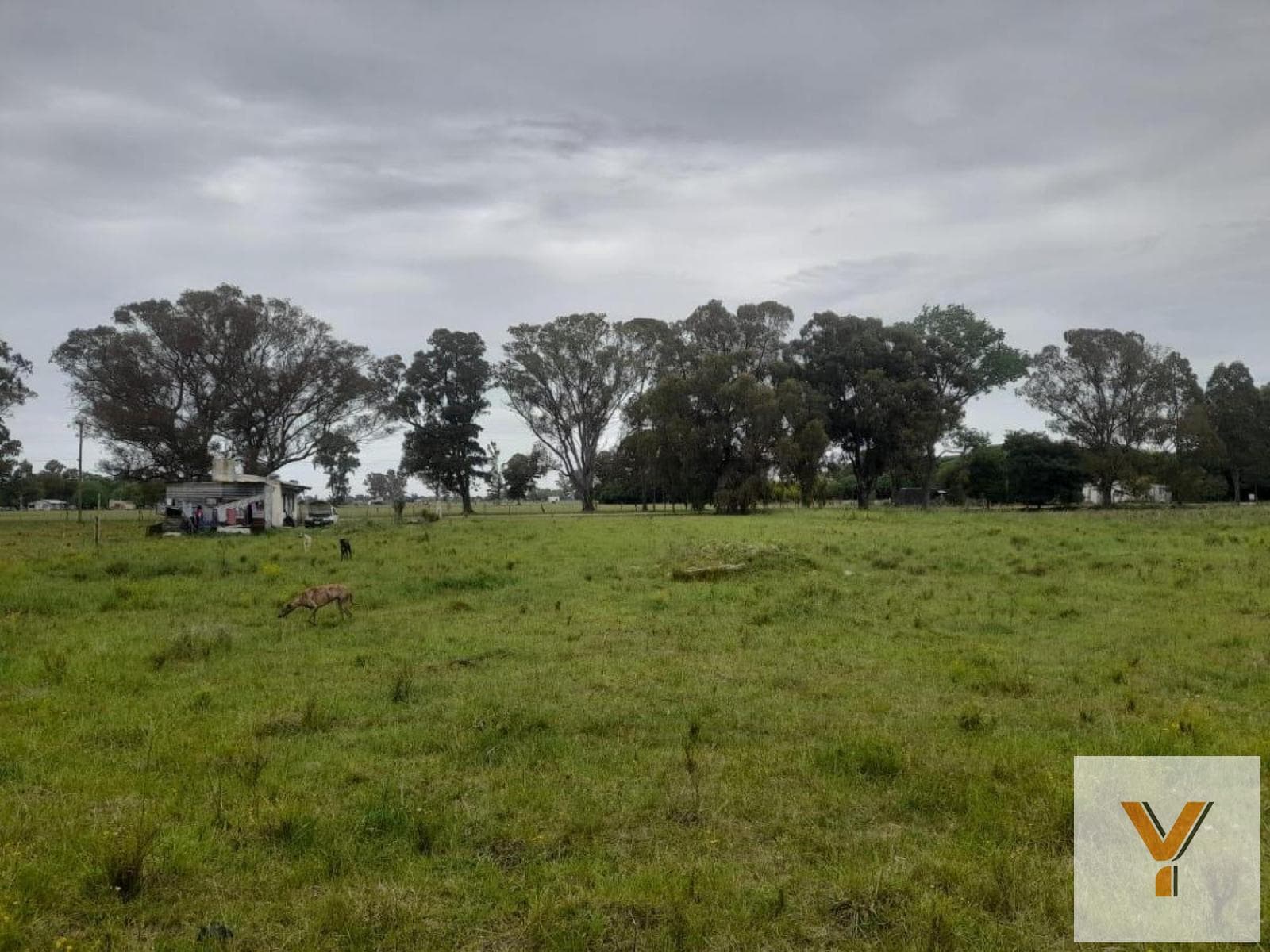 Land for Sale - 5,000 m² - Mar del Plata