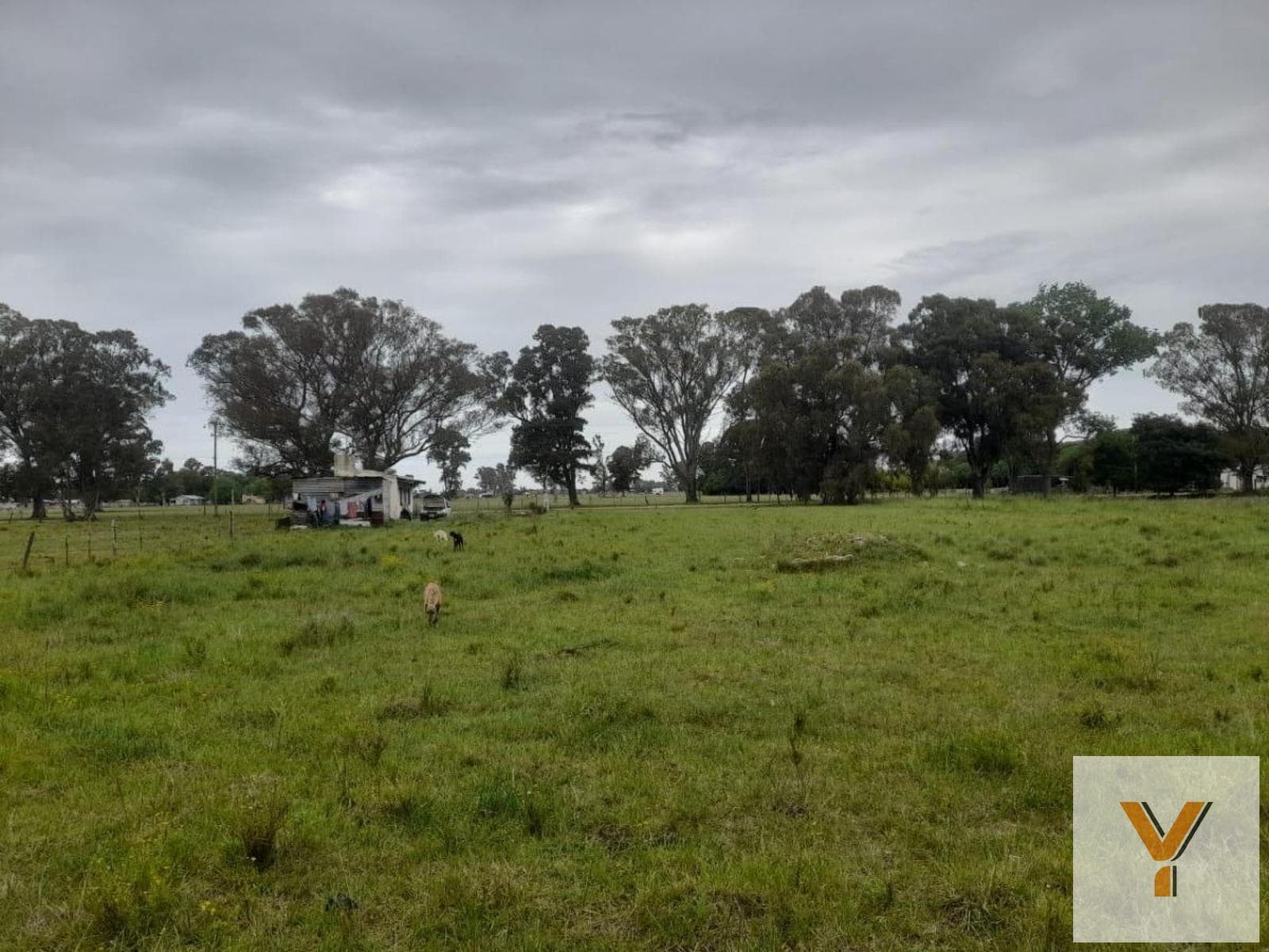 Land for Sale - 5,000 m² - Mar del Plata
