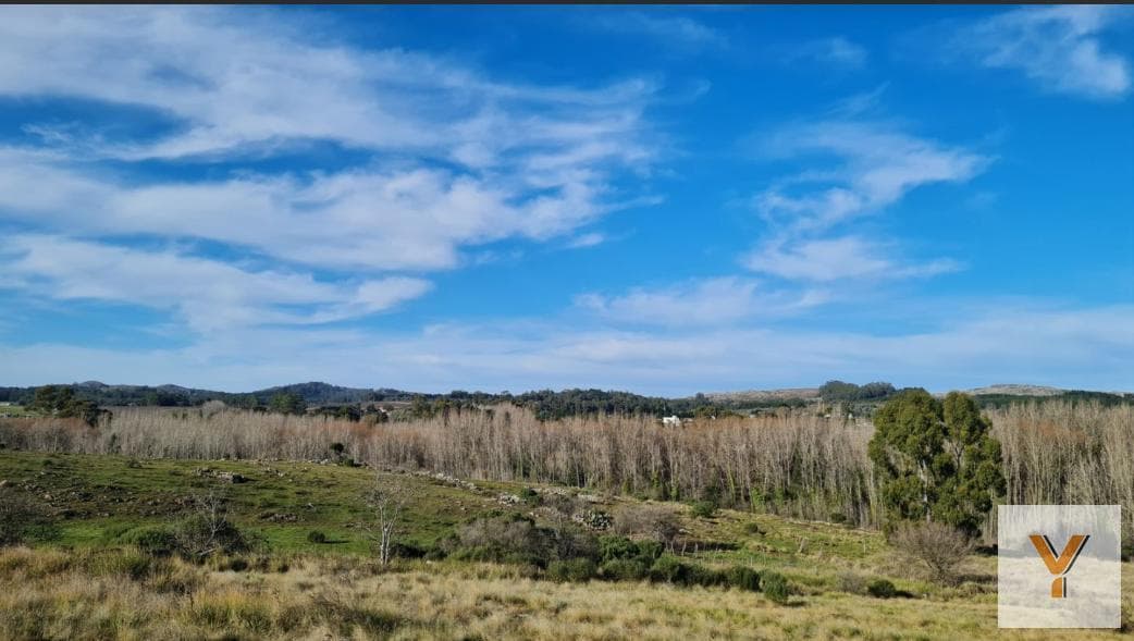 Land for Sale - 600 m² - Tandil
