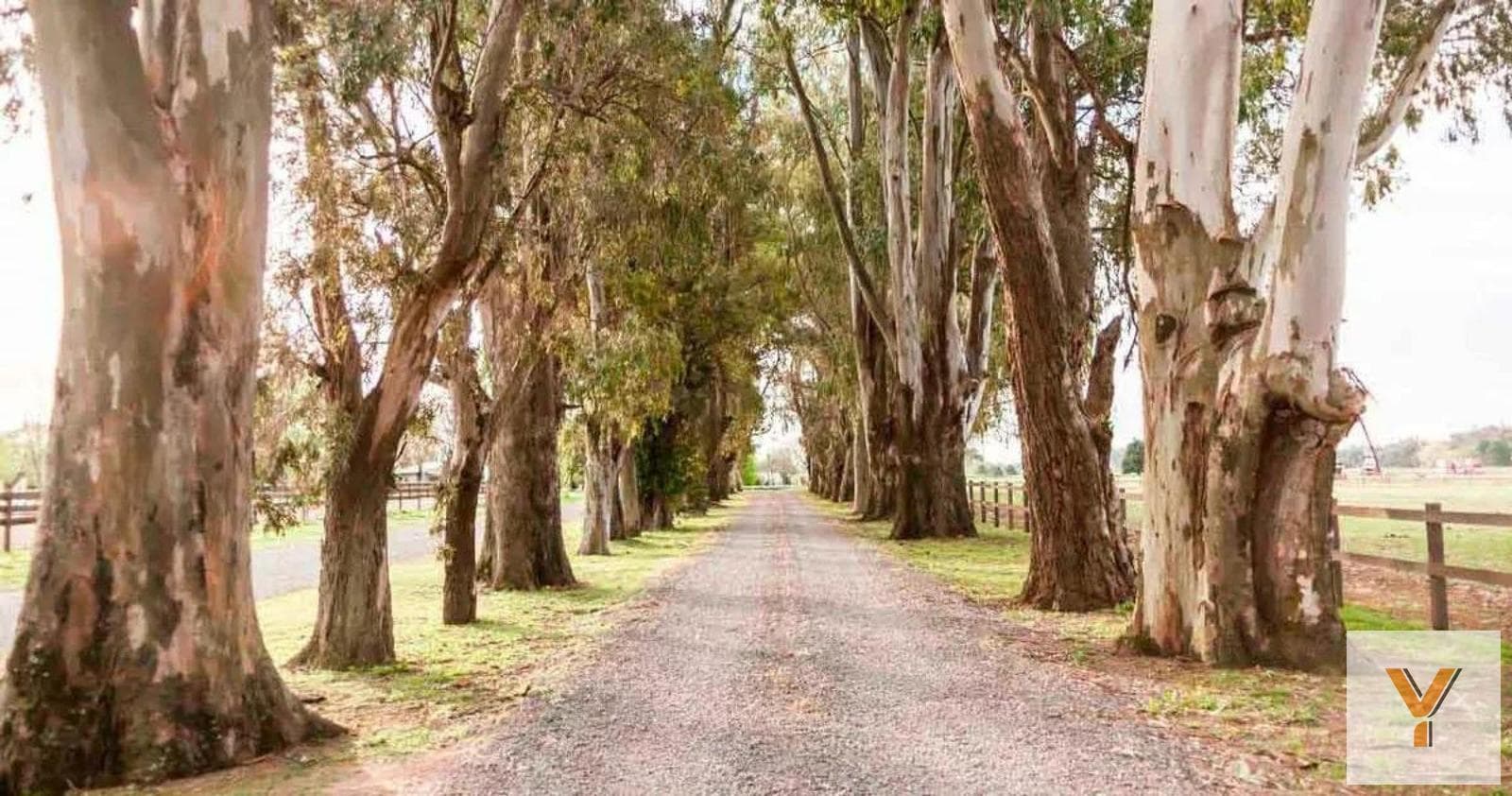 Land for Sale - 360 m² - Campana