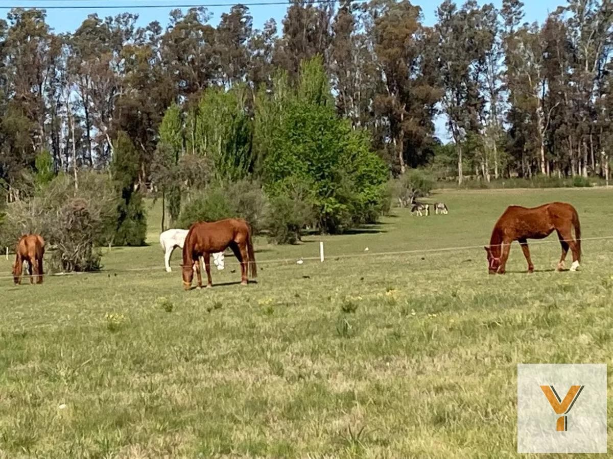 Land for Sale - 3,400 square meters - Exaltación de La Cruz