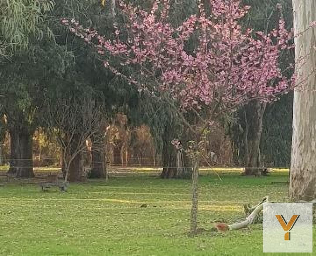 Land for Sale - 900 square meters - Abasto, La Plata
