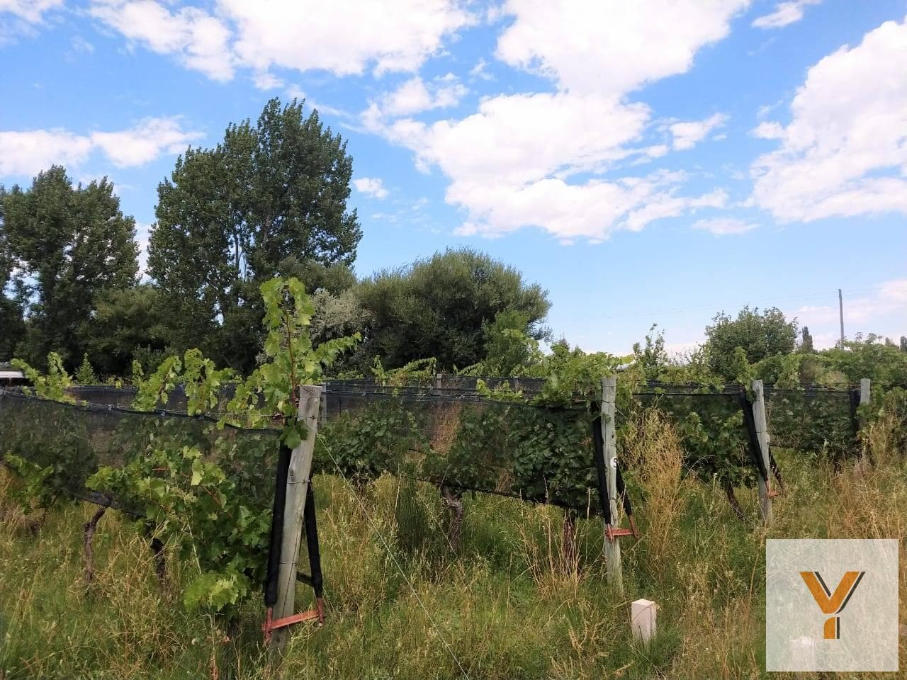 Country House for Sale - 4 Bedrooms, 2 Bathrooms - Garage - 150,000 m² - San Rafael