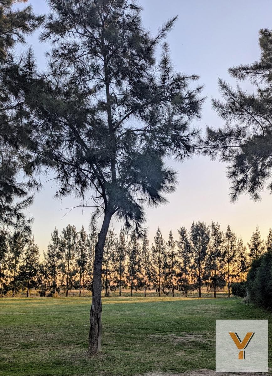 Land for sale - 1,000 m² - Lagos del Norte, Tigre