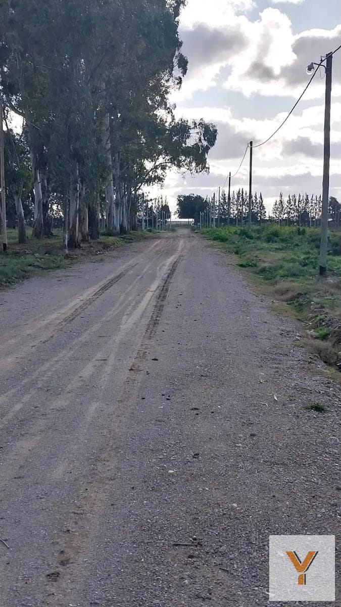 Land for Sale - 420 square meters - Abasto, La Plata