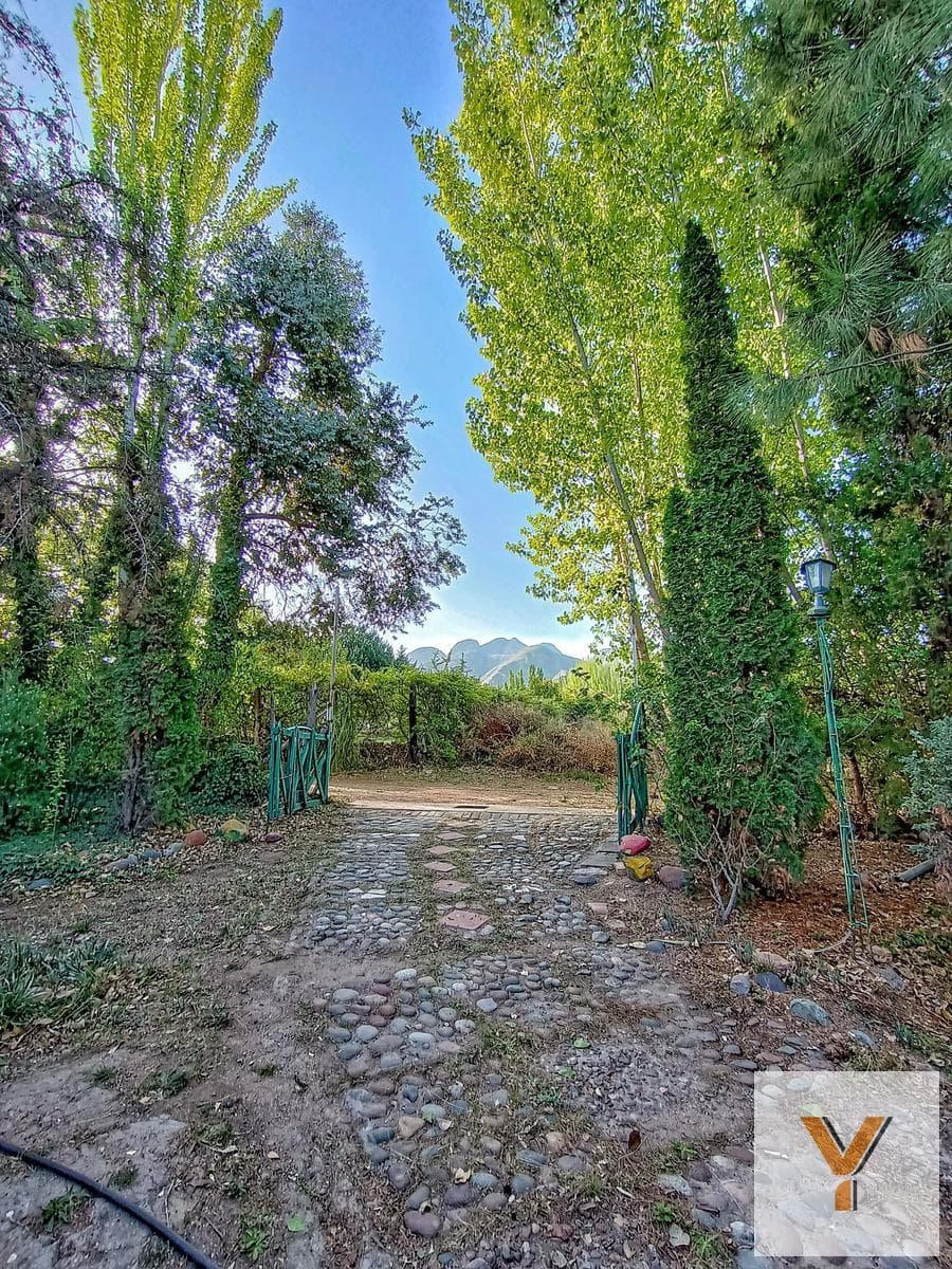 House for Sale - 2 Bedrooms, 1 Bathroom - 4,500 m² - Luján de Cuyo