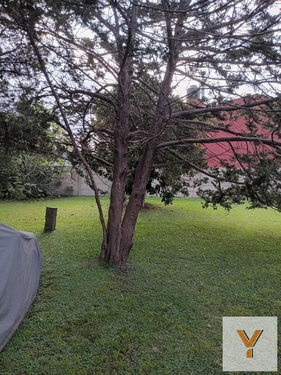 Land for Sale - 600 square meters - Lisandro Olmos, La Plata