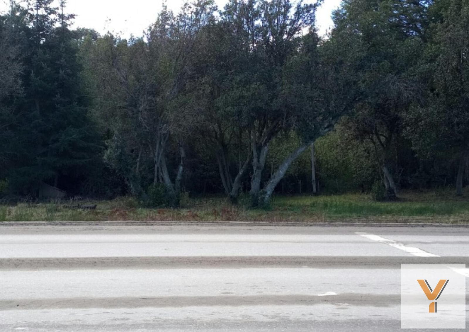 Land for Sale - 6,000 square meters - Villa La Angostura