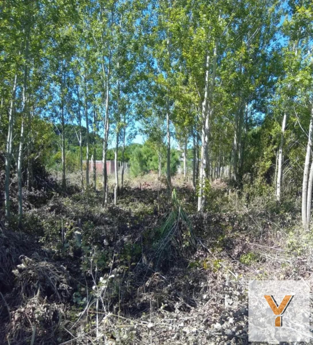 Land for Sale - 500 m² - Nueva Atlantis