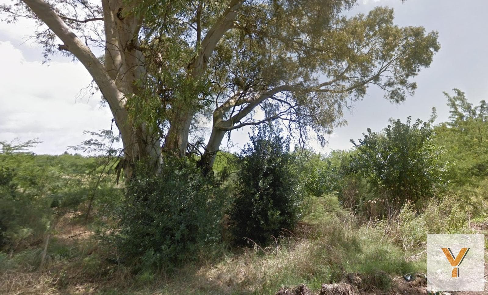 Land for Sale - 61,920 square meters - Lisandro Olmos