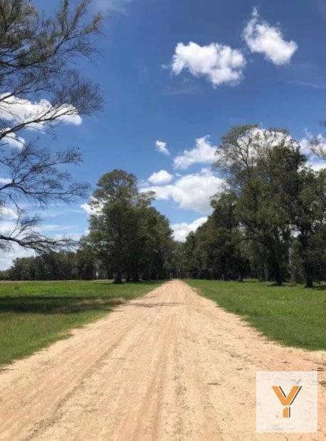 Land for Sale - Total Area: 1,772 m² - Los Tres Pinos