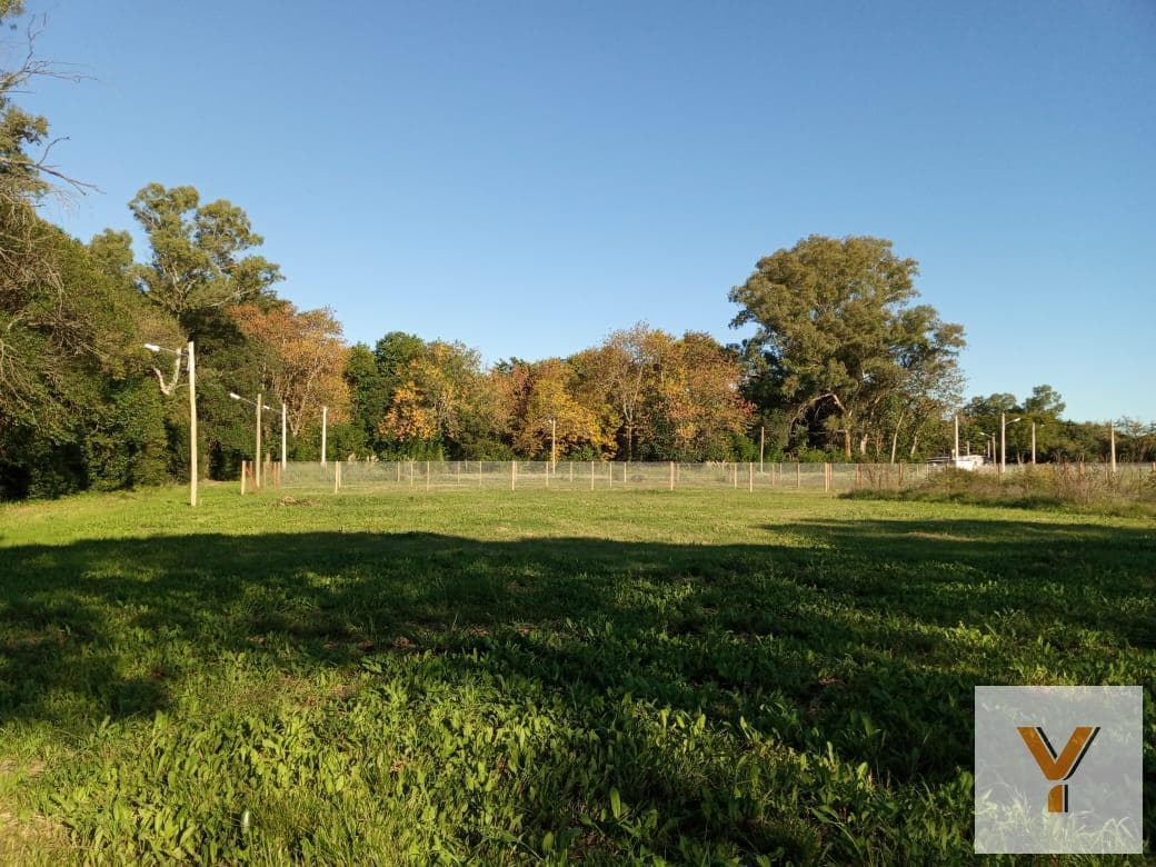 Land for Sale - 13.63 x 33.73 meters - 432 square meters - Arturo Seguí